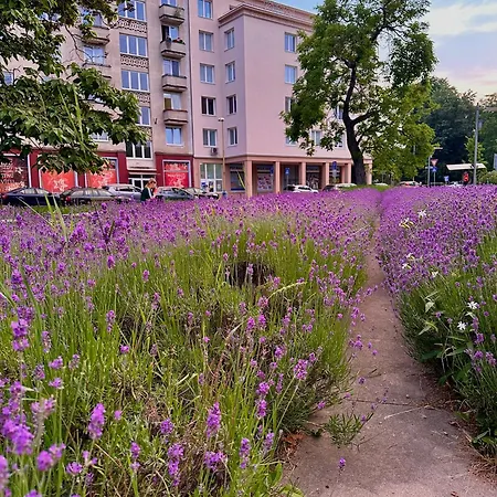 Apartments Letna, Ac & Garage 89M2 And 44M2 Apartment