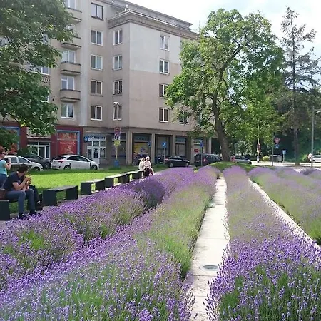 Apartments Letna, Ac & Garage 89M2 And 44M2 Kosice