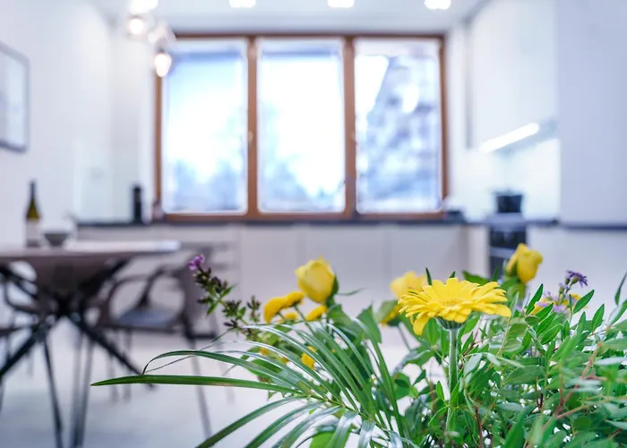 Letná, Ac&garage 89m2&44m2 Košice