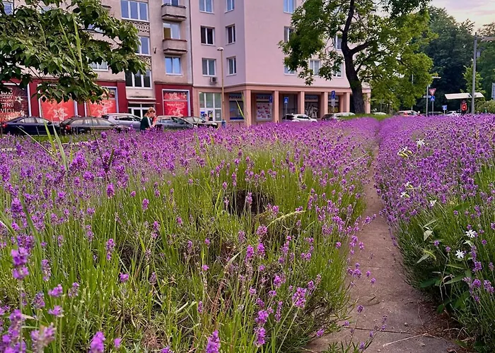 Letna, Ac & Garage 89m2 And 44m2 Daire