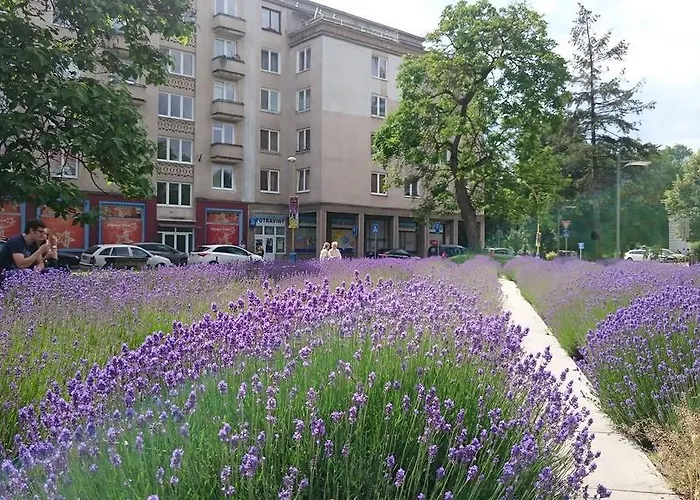 Letna, Ac & Garage 89m2 And 44m2 Kösice