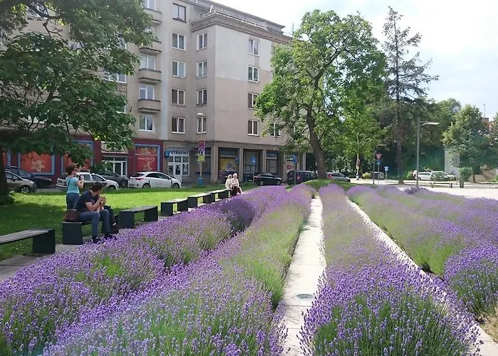 Letná, Ac&garage 89m2&44m2 Košice